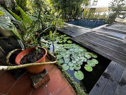 Ming Park (D20), Semi-Detached #560418851